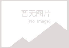 清水河县紫山服务有限公司